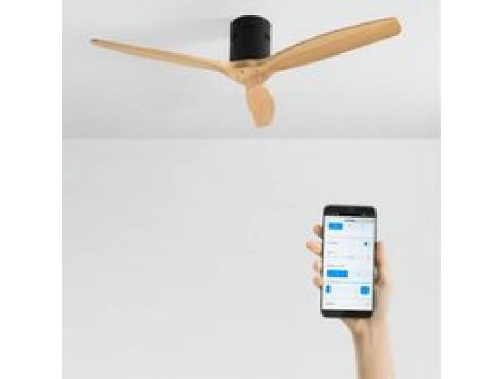 WIND CALM - Ventilateur de