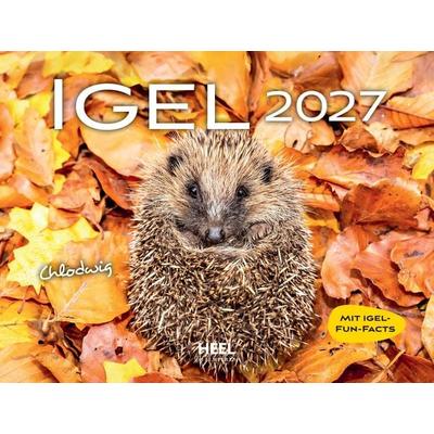 Igel 2027 Eintragkalender