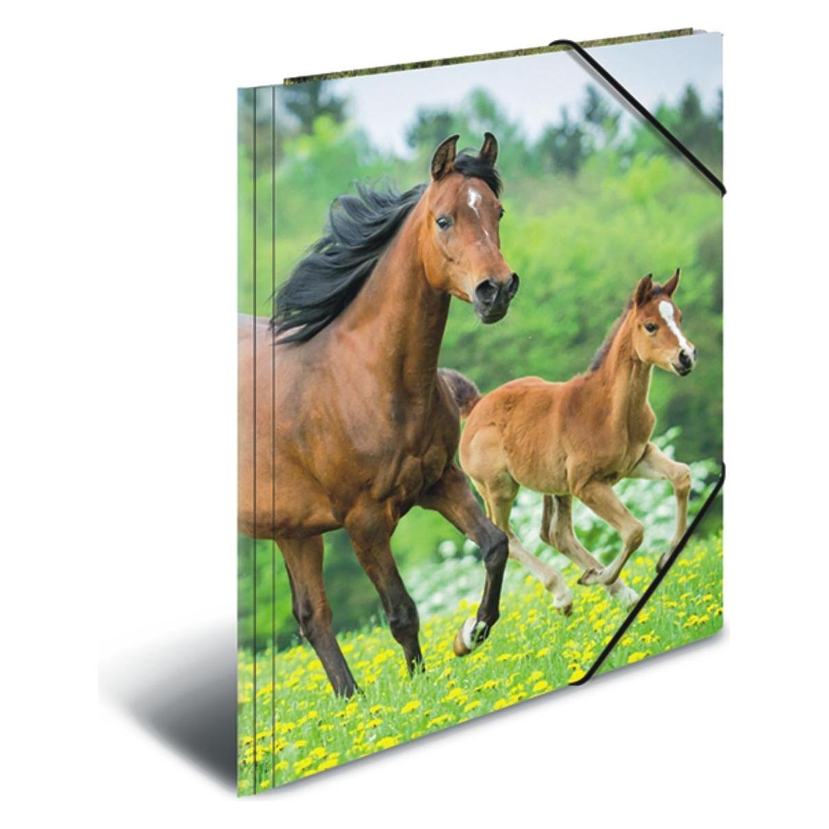 Herma 3 Zeichenmappen DIN A3 Pferde (A3, 3x) (7145)