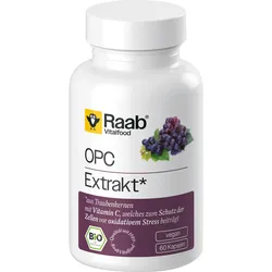 Raab Vitalfood Opc Extrakt Bio 60 ST