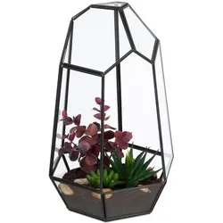 Relaxdays Geometrisches Pflanzenterrarium aus Glas Schwarz,Transparent
