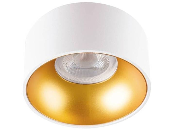 plafondspot MINI RITI GU10 WG