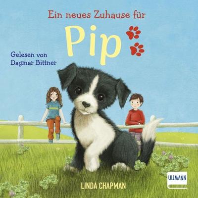 Ein neues Zuhause für Pip - Linda Chapman, Audio, 9783741526572