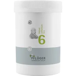 Biochemie Pflüger Nr. 6 Kalium Sulfuricum D 6 4000 ST