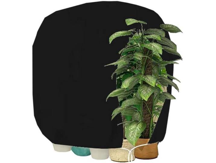 Winterschutz für Pflanzen 190x220cm Schwarz Atmungsaktiv Reißfest