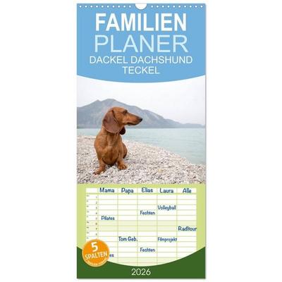 Familienplaner 2026 - DACKEL DACHSHUND TECKEL 2026 mit 5 Spalten (Wandkalender, 21 x 45 cm) CALVENDO