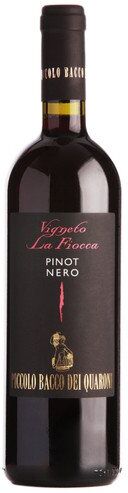 Pinot Nero 'Vigneto La Fiocca' Piccolo Bacco dei Quaroni 2018