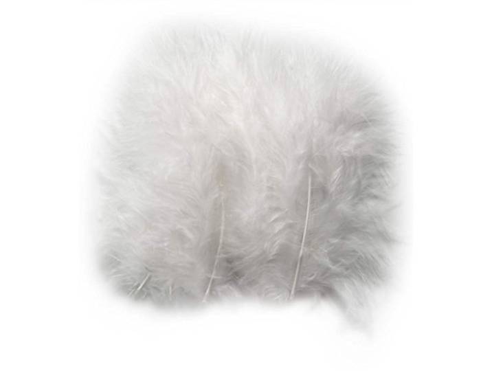 Veren, maat 5-12 cm, wit, 15 stuks