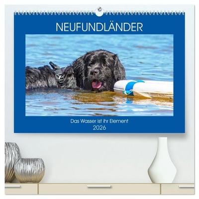 Neufundländer - Das Wasser ist ihr Element (hochwertiger Premium Wandkalender 2026 DIN A2 quer), Kunstdruck in Hochglanz