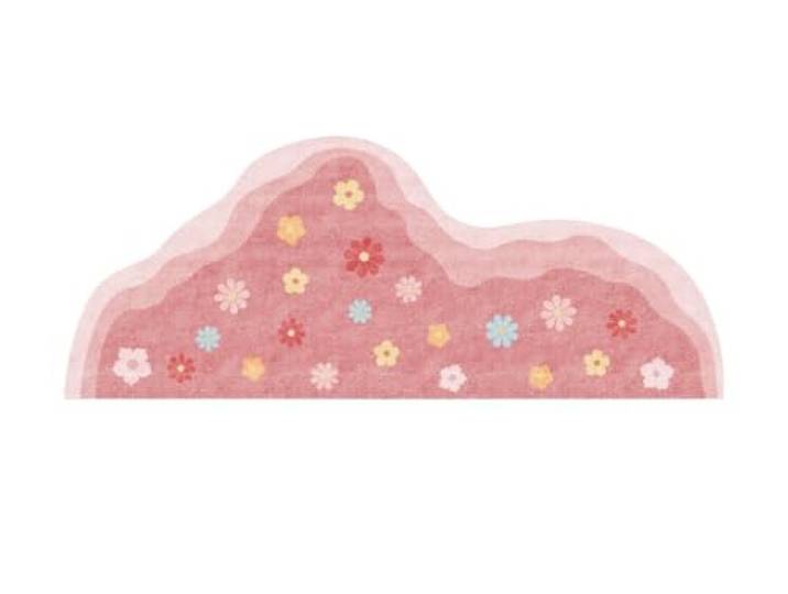 Rosafarbener Teppich mit unregelmäßiger Form for Schlafzimmerdekoration Flauschige, weiche Teppiche for das Wohnzimmer, dicker Plüsch-Moos-Teppich for den Nachttisch(Color8,100x200cm)