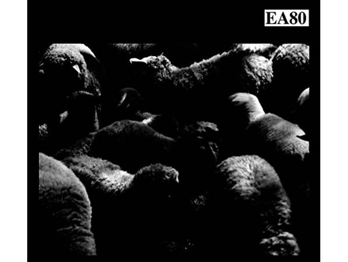 Mehr Schreie (Reissue)