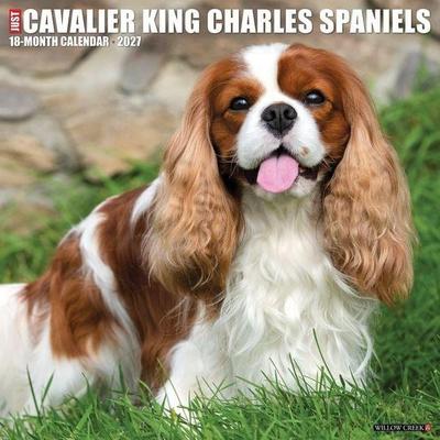 Cavalier King Charles Spaniels 2027 12 X 12 Wall Calendar