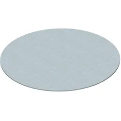 OBO 7407160 Blinddeckel für R9 in Montagedeckel Ø309mm Stahl bandverzinkt DUG B R9