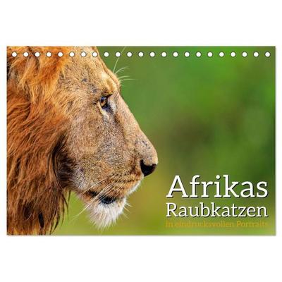Afrikas Raubkatzen in eindrucksvollen Portraits (Tischkalender 2027 DIN A5 quer), CALVENDO Monatskalender