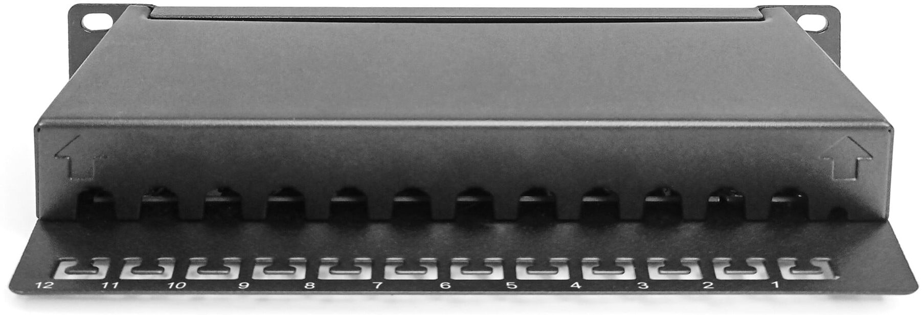 Digitus Panel 10" Class E 12-Port LSA 1HE RAL9005 sw DN-91612S)