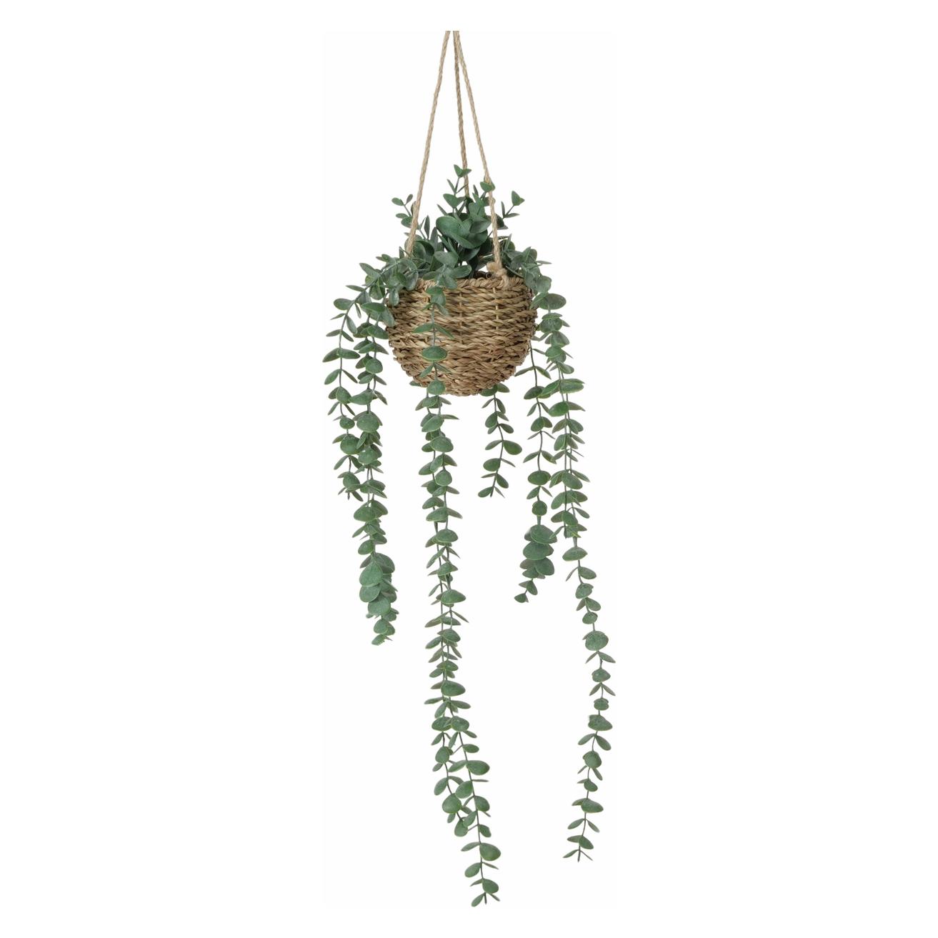 Boltze Home Topfpflanze (78 cm) (2058237)