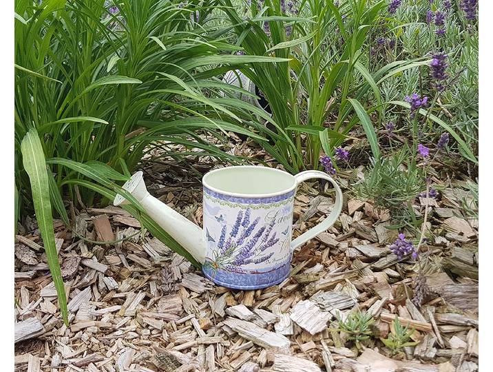 Cache-pot arrosoir lavande large 22 x 9 x 9cm Beige