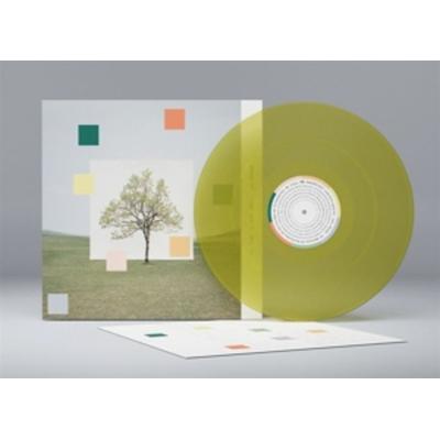 NOTES FROM A QUIET LIFE (Yellowy Green Vinyl) - Washed Out, Vinyl