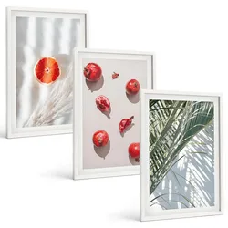 BILDER SET 3er Set - 40x60 cm Weißer Rahmen - Feiertagspalmenfrüchte