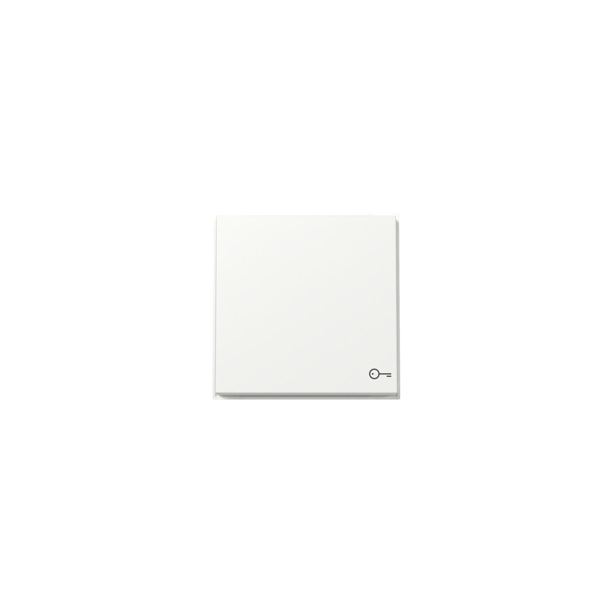 Gira Wippe Symbol Tür WG UP Reinweiß 328766)