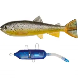Pulz Bait Trout Kit (Brown Trout), Brown Trout