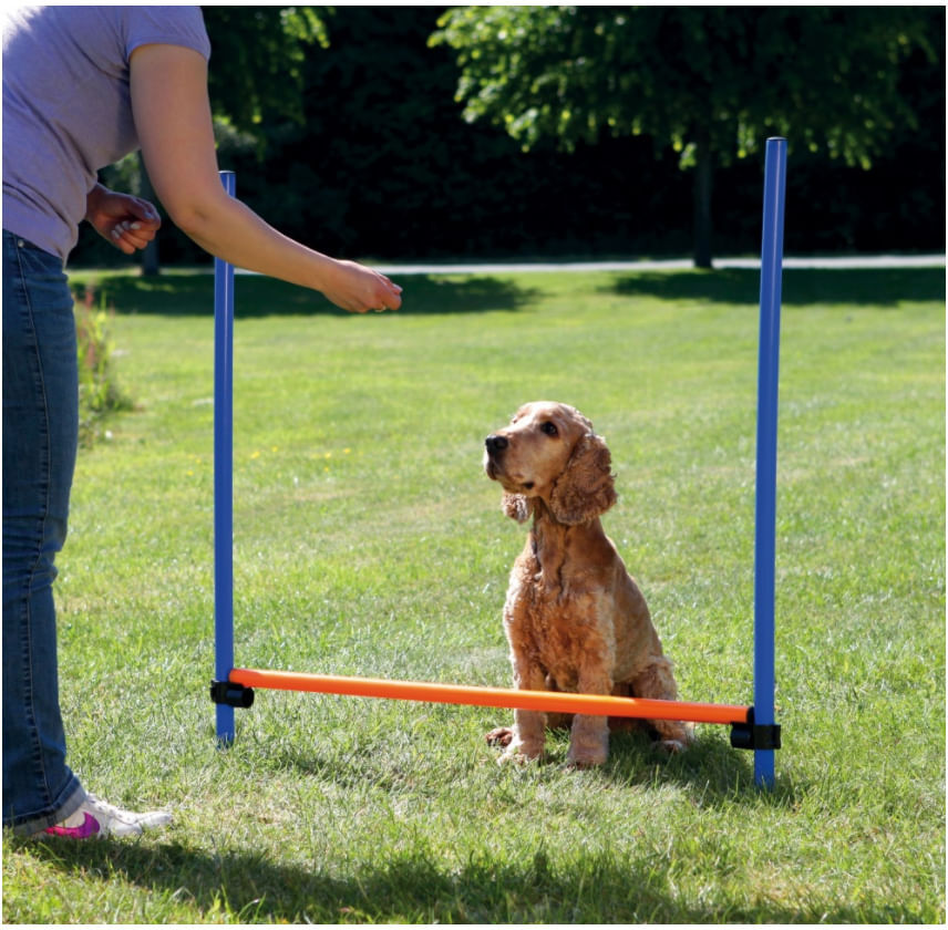 TRIXIE Gioco Ostacolo Agility per Cane 1 PZ