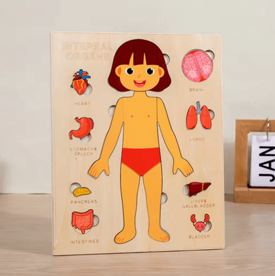 Inspire Picks Montessori Human Body Busy Board For Toddlers Body Parts Learning Toy girl