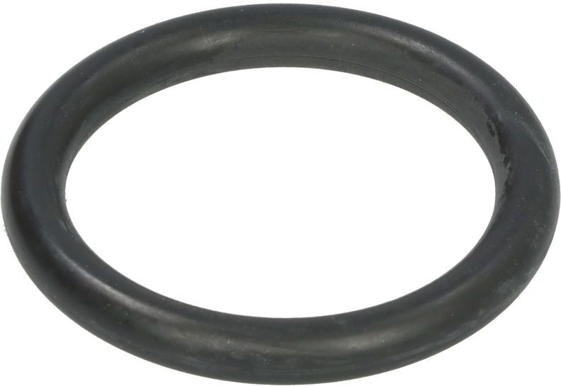O-Ring LEMA LE106798