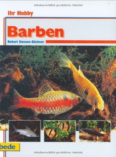 Robert Donoso-Büchner - Barben, Ihr Hobby - Preis vom 09.10.2026 07:28:09 h