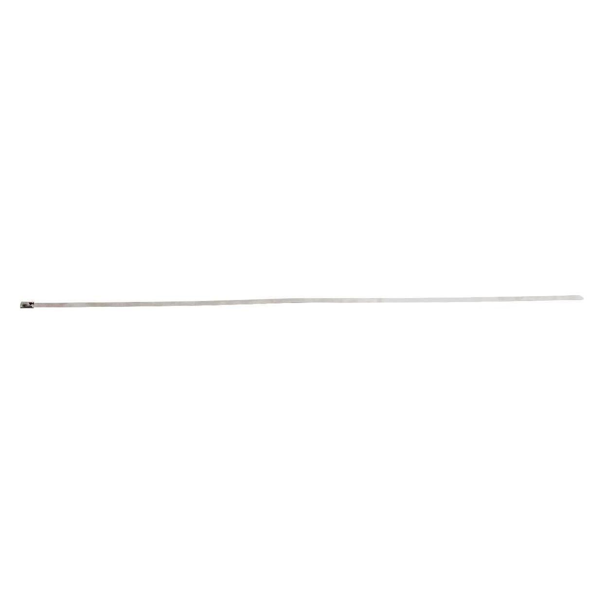 Brady Kabelbinder (520 mm, 100 Stk.) (SSTIE-520-7316)