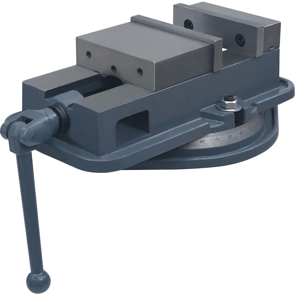 vidaXL Étau à table tournante Fonte 160 mm
