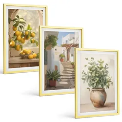 BILDER SET 3er Set - 40x60 cm Goldrahmen - Zitronen in einer Pflanzenvase