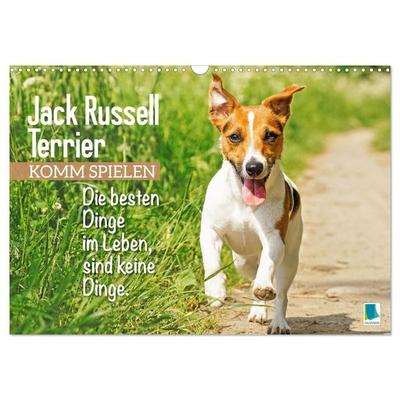 Jack Russell Terrier: Komm spielen (Wandkalender 2027 DIN A3 quer), CALVENDO Monatskalender