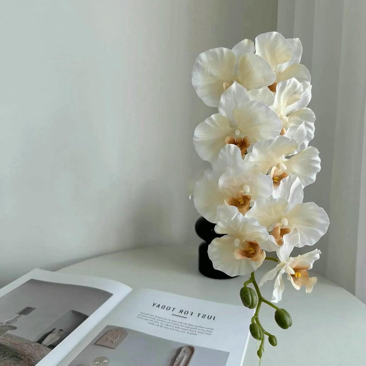 Nep Orchidee Tak Zijden Phalaenopsis Champagne Decoratie voor in Huis