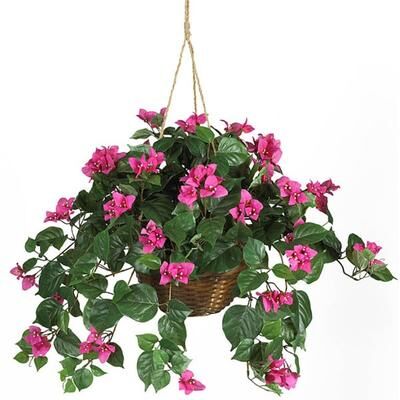 Nearly Natural Bougainvillea Silk Plant Hanging Basket - Green