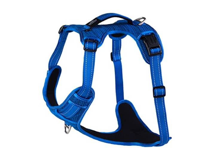 ROGZ SJX05.B Explore Geschirr, XL, blau