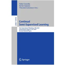 Continual Semi-Supervised Learning, Fachbücher