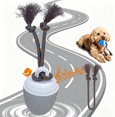 Everyday Crate Smart Motion Interactive Dog Ball With Rope & USB Rechargeable Training Toy grey
