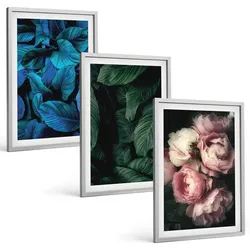 BILDER SET 3er Set - 40x60 cm Silberner Rahmen - Blätter, Blüten, verschiedene Farben