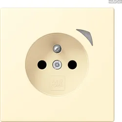 Jung BT LC 1521 F S 201 JUNG HOME Steckdose französisch/belgisches System