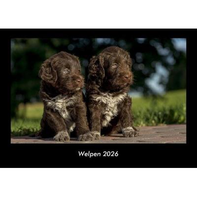 Welpen 2026 Fotokalender DIN A3