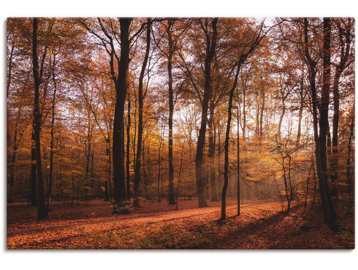 Leinwandbild ARTLAND Sonnenaufgang im Herbst II , braun (farbe bild(er): braun), B:90cm H:60cm, Bilder, Leinwandbild, auf Holzrahmen gespannt