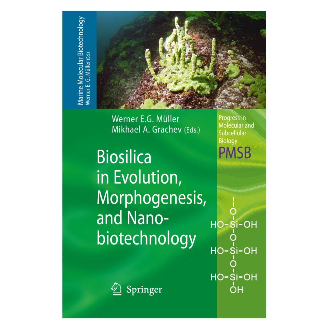 Springer Biosilica in Evolution, Morphogenesis, and Nanobiotechnology (Englisch, Softcover, Mikhael A. Grachev, Werner E. G. Müller) (55394575)