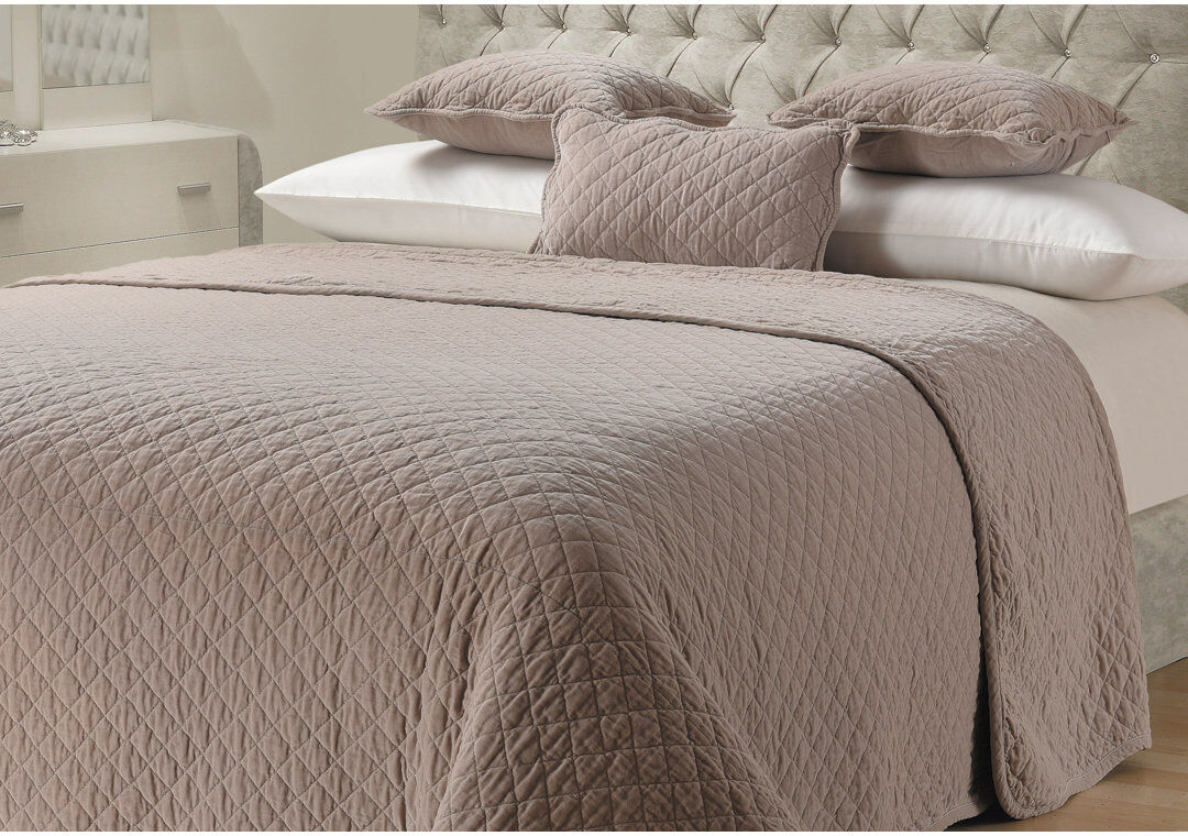 17 Stories Moriani Premium Cotton Velvet Luxury Heavyweight Throw Cream W265cm x L265