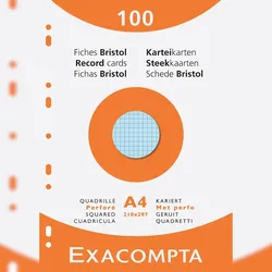 Exacompta 13656E Karteikarten 210x297 kar perf ass 100St - Farben sortiert