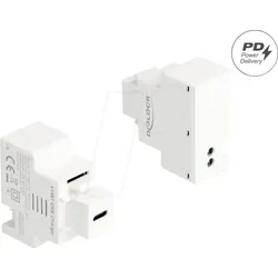 DELOCK 41481 - Keystone Modul USB Type-CTM Buchse / Buchse, weiß