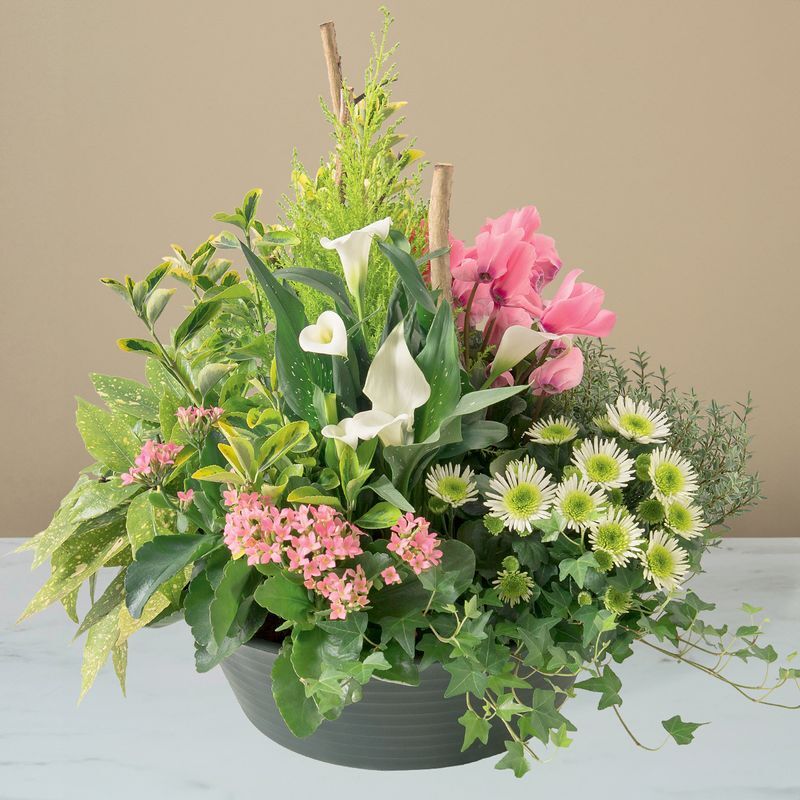 Coupe de plantes funéraire : Délicates pensées, coupe funéraire - Interflora