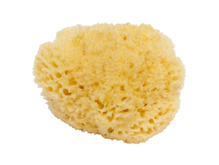 BELLINI BA-SA12 Honeycomb No. 12 Naturschwamm