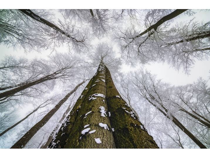 Fototapete PAPERMOON Photo-Art TOM PAVLASEK, HOCH SCHAUEN , bunt, B:5m L:2,8m, Vlies, Tapeten, Fototapete