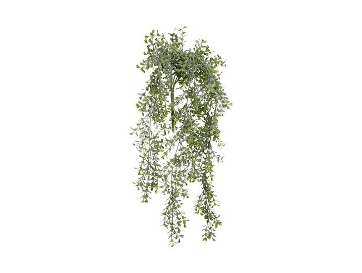Mica Buchsbaum Hängend Grün 74 × 20 × 10 cm